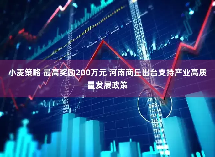 小麦策略 最高奖励200万元 河南商丘出台支持产业高质量发展政策