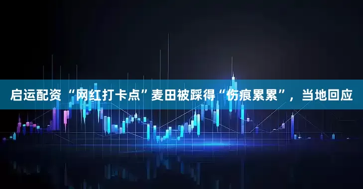 启运配资 “网红打卡点”麦田被踩得“伤痕累累”，当地回应