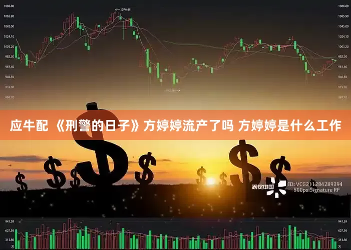 应牛配 《刑警的日子》方婷婷流产了吗 方婷婷是什么工作