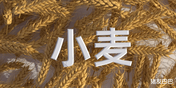 股王配资 下跌拦不住! 7月17日: 调价后92/95号汽油价格, 麦价无休止下跌!