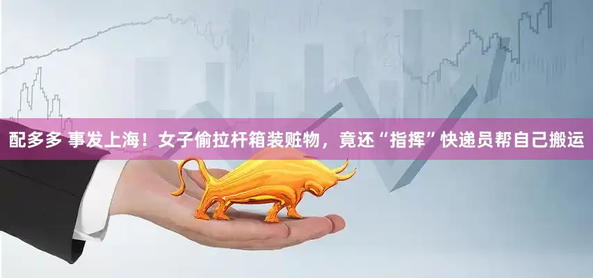 配多多 事发上海!女子偷拉杆箱装赃物,竟还“指挥”快递员帮自己搬运